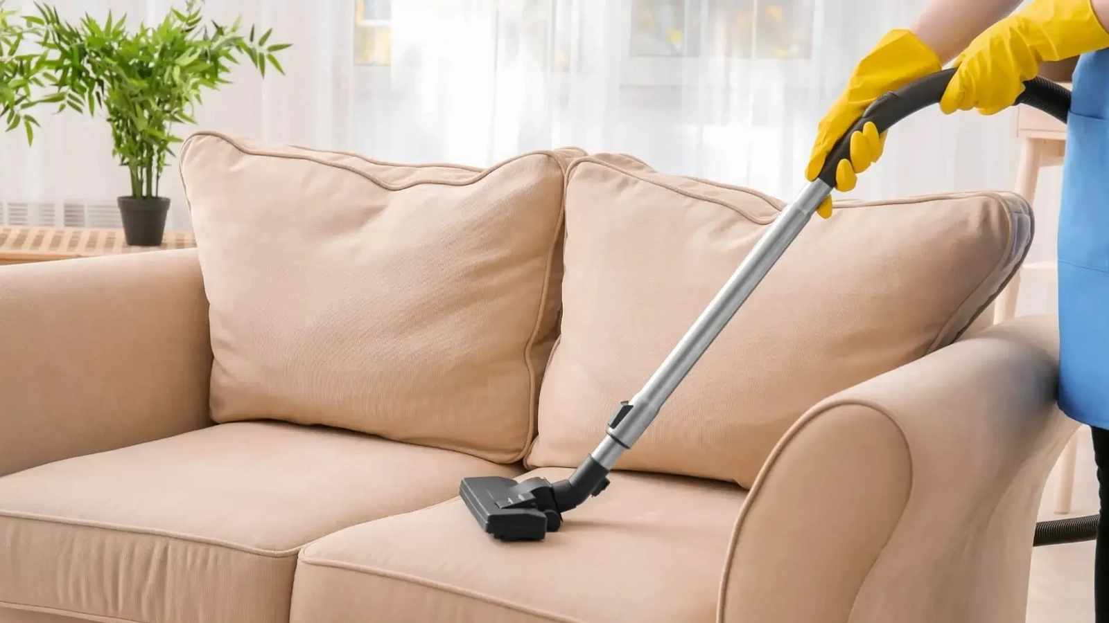 How Often Should You Clean Your Sofa and Carpet?